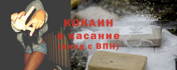 сатива Белокуриха