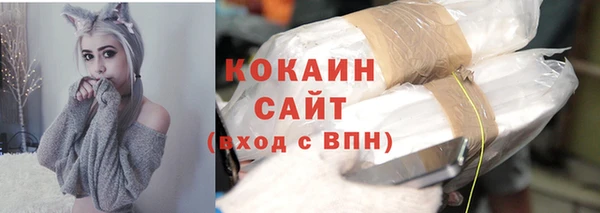 сатива Белокуриха