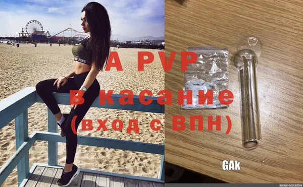 сатива Белокуриха