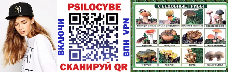 закладки  Великие Луки  Псилоцибиновые грибы мицелий 